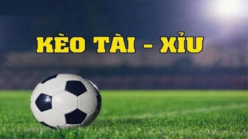 Giải Kèo Tài Xỉu Chuẩn Xác: Dân Pro Không Bao Giờ Nói Ra