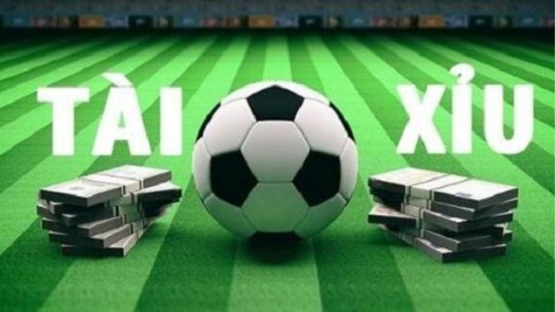 Giải Kèo Tài Xỉu Chuẩn Xác: Dân Pro Không Bao Giờ Nói Ra