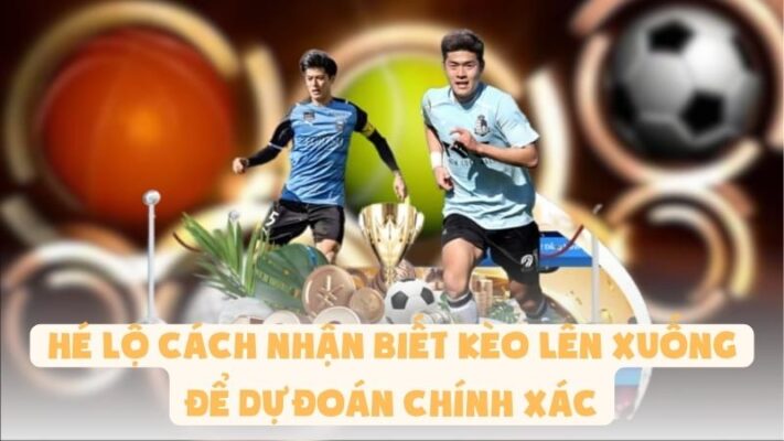 Hé Lộ Cách Nhận Biết Kèo Lên Xuống Để Dự Đoán Chính Xác
