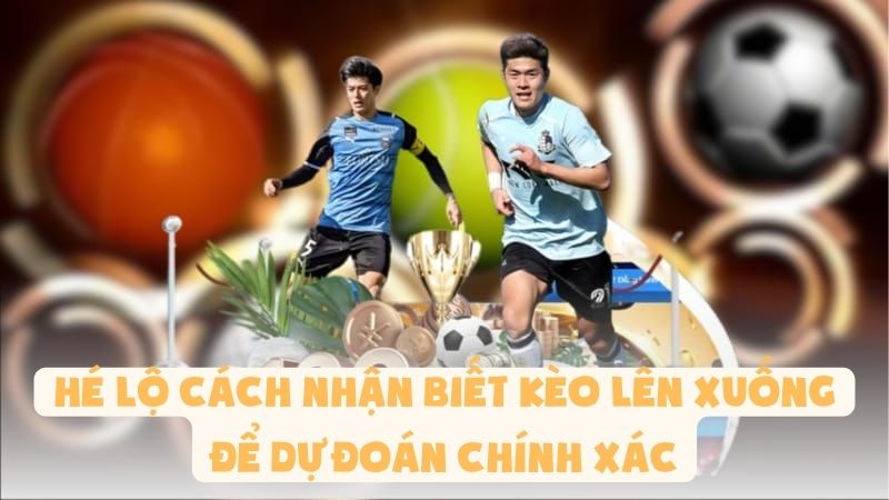 Hé Lộ Cách Nhận Biết Kèo Lên Xuống Để Dự Đoán Chính Xác