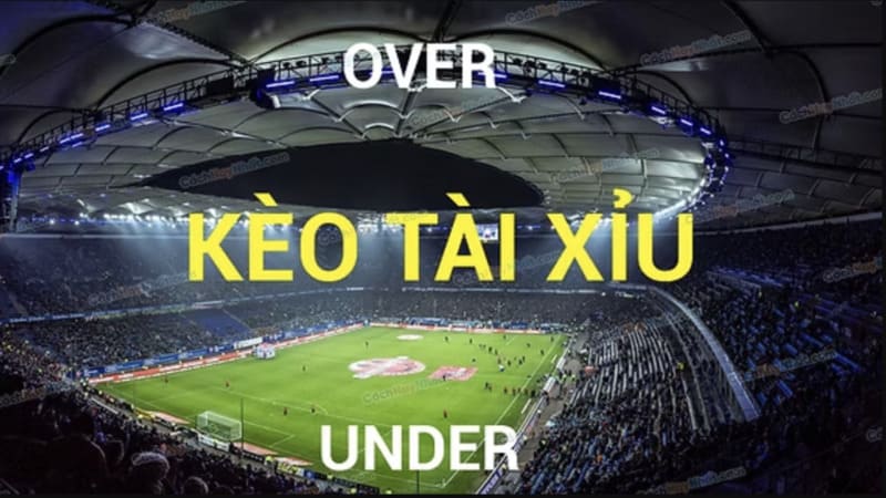 Bí quyết soi cầu tài xỉu hiệu quả từ chuyên gia