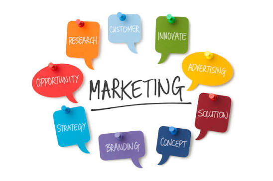 Từ Vựng Tiếng Anh Chuyên Ngành Marketing Trong Doanh Nghiệp